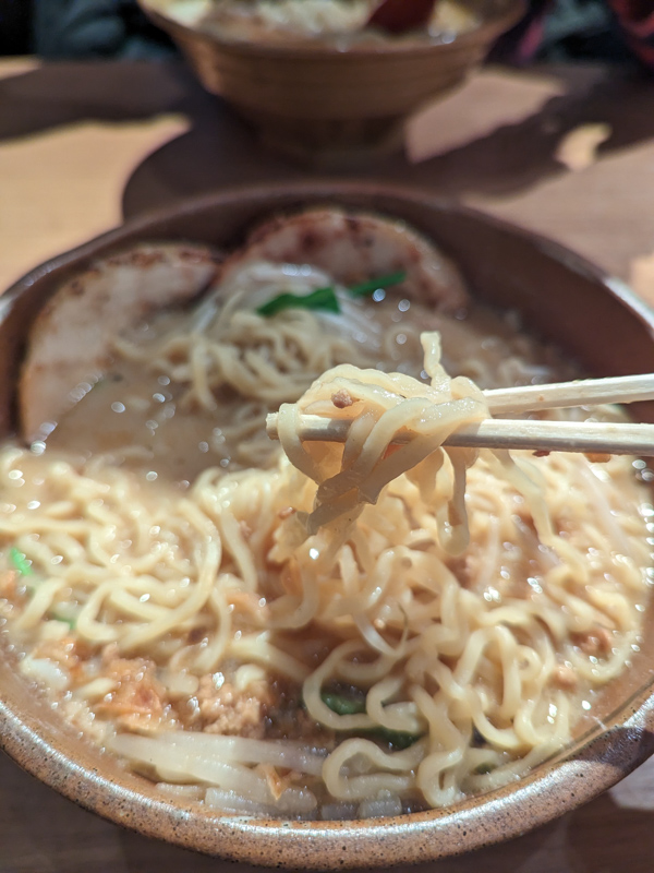 Menba Tadokoroshoten Ionmoruokayamaten - Shinshu Miso Ramen